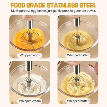 NileHome Stainless Steel Whisk 10" Semi-Automatic Rotary